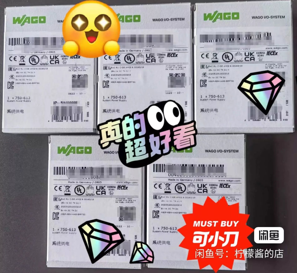1PC NEW WAGO 750-613 PLC module () #N2521 YF